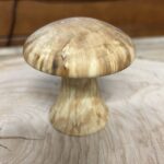 Mushrooms by Doug Ricketts