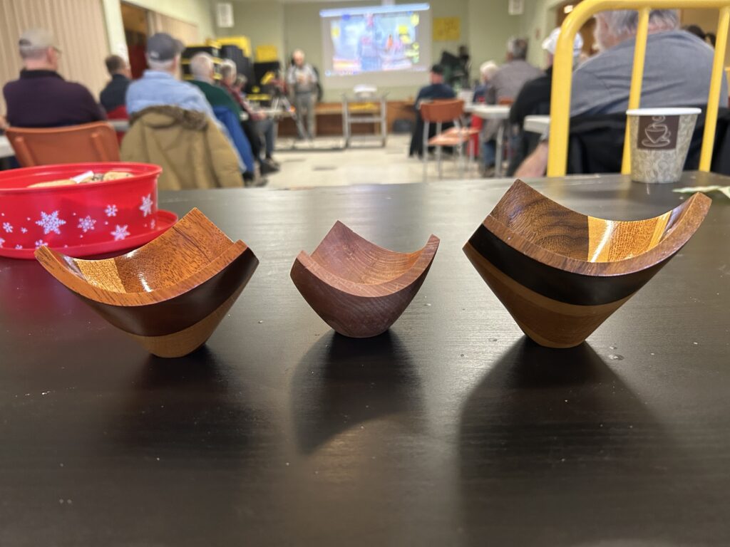 Artistic Tulip Bowls. Kade B